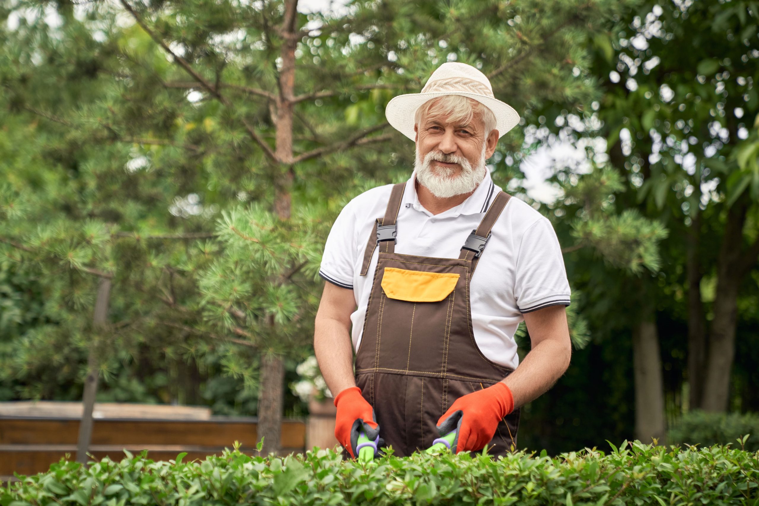 Senior landscaper cutting overgrown grass