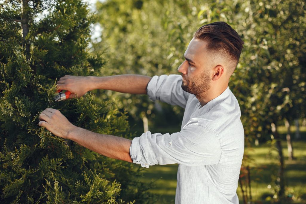Man trimming bough of brush.